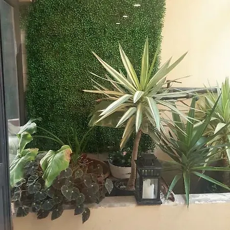 Carmo Apartment Espinho  Exterior photo